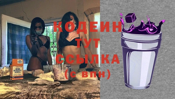 ПСИЛОЦИБИНОВЫЕ ГРИБЫ Няндома