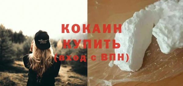 ПСИЛОЦИБИНОВЫЕ ГРИБЫ Няндома