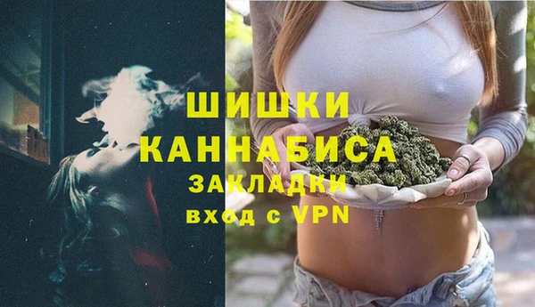 ПСИЛОЦИБИНОВЫЕ ГРИБЫ Няндома