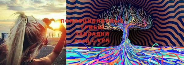 гашик Нязепетровск
