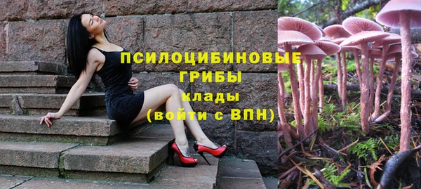 гашик Нязепетровск
