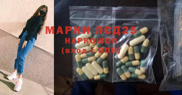 ПСИЛОЦИБИНОВЫЕ ГРИБЫ Няндома