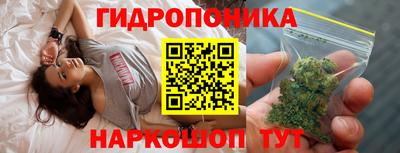 амф Гай