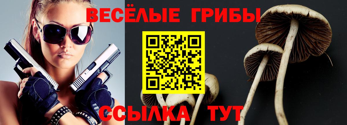 где купить наркоту  Вход с VPN  Бийск  Галлюциногенные грибы мицелий 