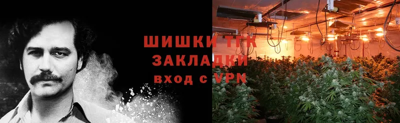 Канабис SATIVA & INDICA  Бийск 